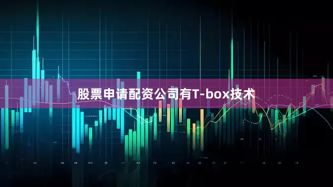 股票申请配资公司有T-box技术