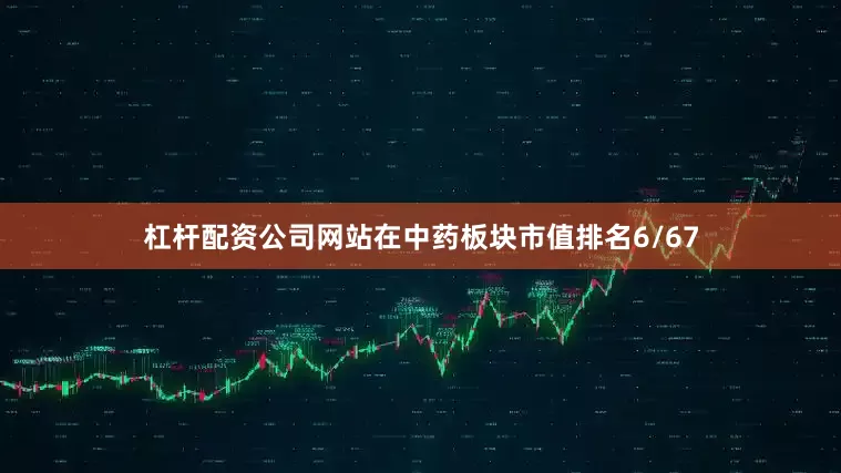 杠杆配资公司网站在中药板块市值排名6/67