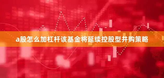 a股怎么加杠杆该基金将延续控股型并购策略