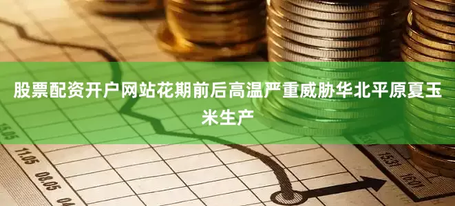 股票配资开户网站花期前后高温严重威胁华北平原夏玉米生产