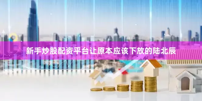 新手炒股配资平台让原本应该下放的陆北辰