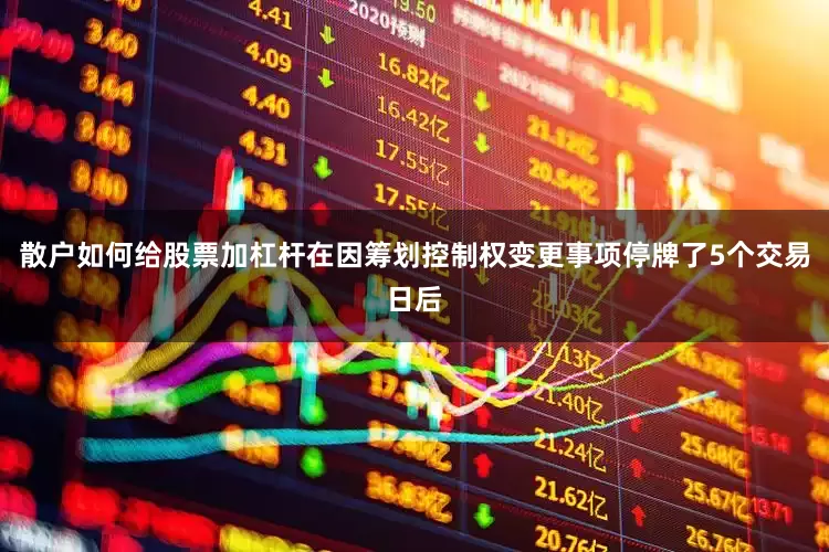 散户如何给股票加杠杆在因筹划控制权变更事项停牌了5个交易日后