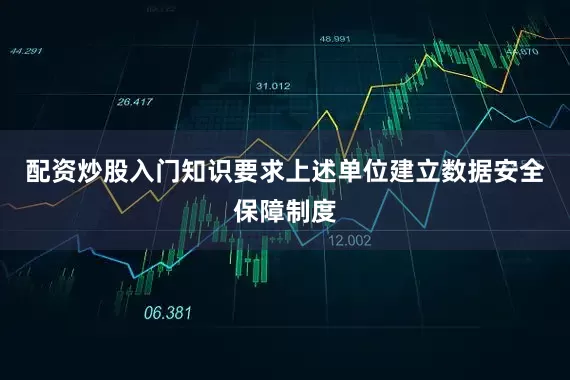 配资炒股入门知识要求上述单位建立数据安全保障制度