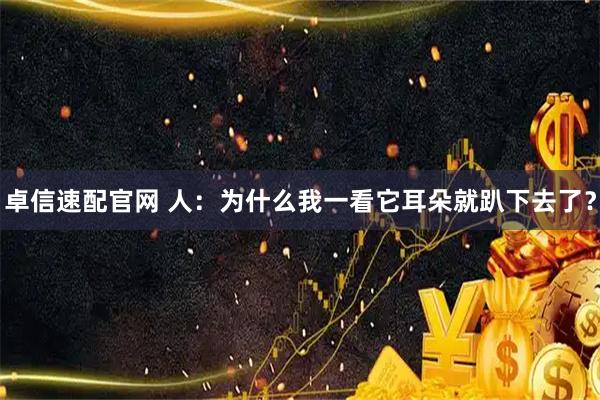 卓信速配官网 人：为什么我一看它耳朵就趴下去了？