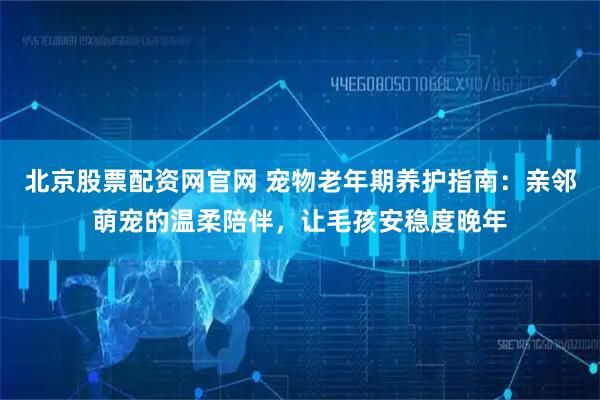 北京股票配资网官网 宠物老年期养护指南：亲邻萌宠的温柔陪伴，让毛孩安稳度晚年